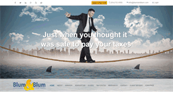 Desktop Screenshot of blumandblum.com